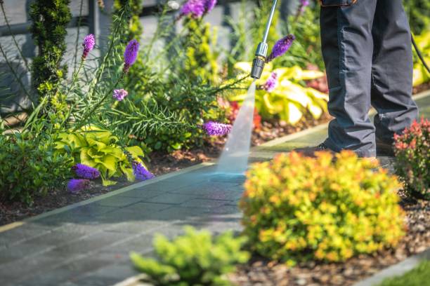Winterizing Services in Chatfield, MN