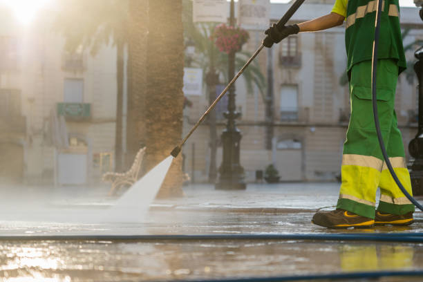 Best Driveway Pressure Washing  in Chatfield, MN